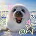 Shady seal facts (@remseals) Twitter profile photo Shady seal facts (@remseals) Twitter profile photo