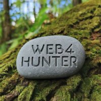 Web4 Hunter 🇳🇬🇮🇹 (@web4hunter) 's Twitter Profile