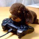 ものじとりさんのプロフィール画像
