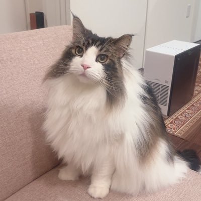 simple_m15's profile picture. haru ▷▶▷ 2020.10.28 ฅ•ω•ฅ🍼