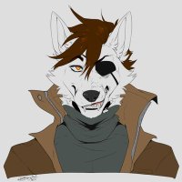 Leon (@leondamagicwolf) 's Twitter Profile Photo