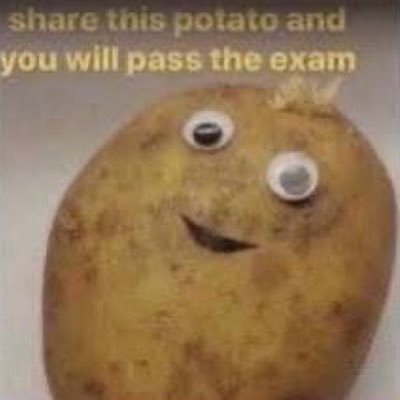 noonoonoonoonaa's profile picture. 
