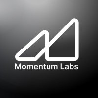 Momentum Labs (@momentumlabs_ai) 's Twitter Profile