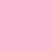 Z'🌸 (@zehraaaa24) Twitter profile photo