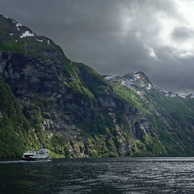 decodtn's profile picture. 