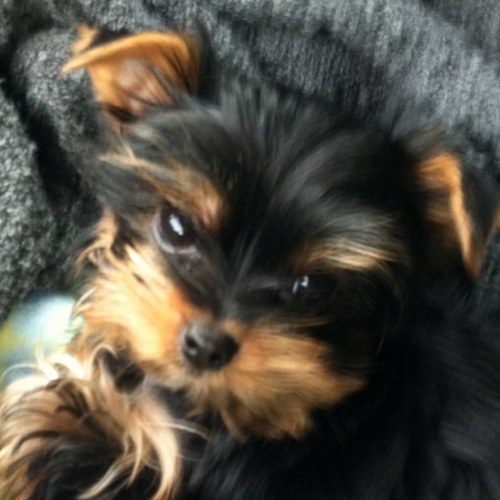 elise_baek's profile picture. 