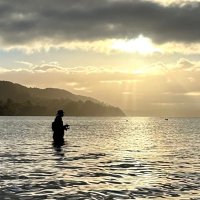 kyousuke_fishing (@kyousuke_fish) 's Twitter Profile