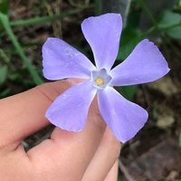 マリヤ (@explorphotobook) 's Twitter Profile