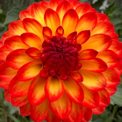 skybirdstuart's profile picture. Conservative, Catholic wife, mom and nana