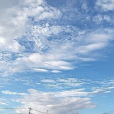 潔く
嫌になったら辞める！
