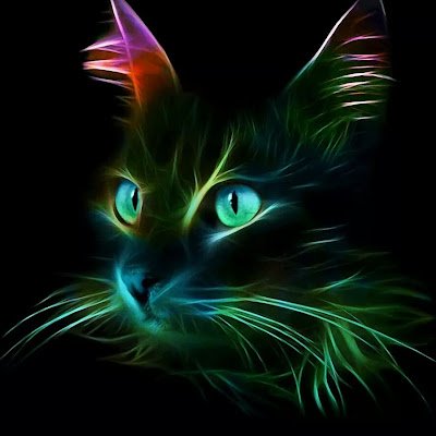 SelenaKyle89432's profile picture. female