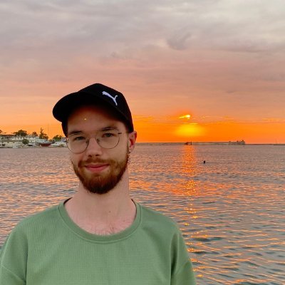 LikionsDev's profile picture. Esport enthusiast