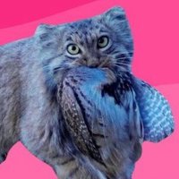 @karyonna.bsky.social (@quothana) 's Twitter Profile
