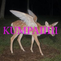 BMB-DR_001.67a (@kumpaiiiii) 's Twitter Profile