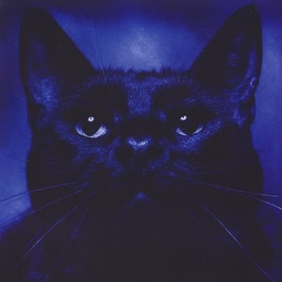 XO navy, by the way, @microwiko got hacked, the account might scam u, don't fall for it