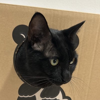 hdhqKdXOyy39938's profile picture. 教員から起業に挑戦するアカウント😁2025.3教員からの卒業⭐️2025.4〜ITの営業職へ💻誰かの助けや自分の助けになると信じて教員の転職の仕方や経験などをつぶやく！アドバイス下さい！#教員　#起業　#転職