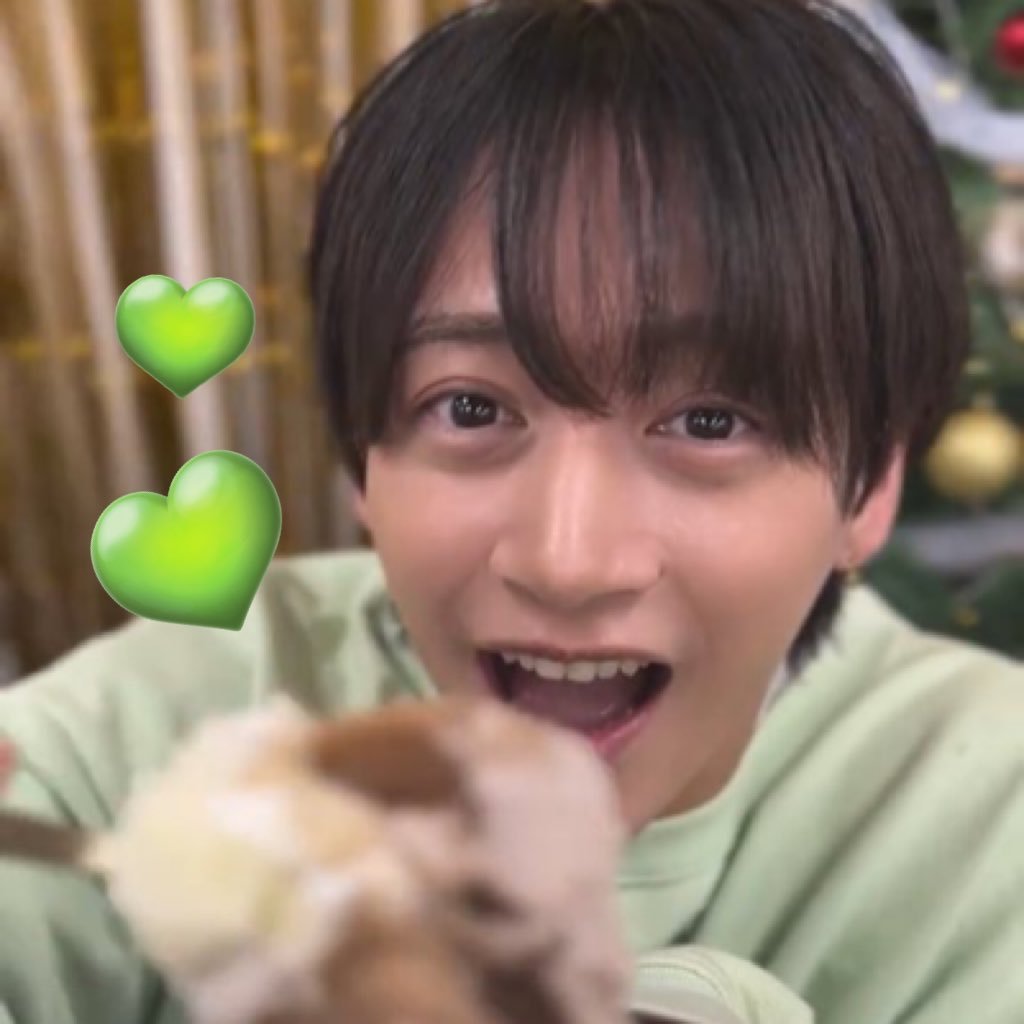 @fujiichan2000 🏰💚