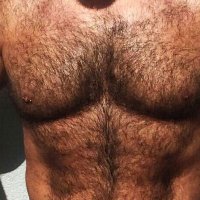 BigBaldBear (@spyserbian) 's Twitter Profile