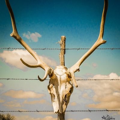 TuomoJoensuusta's profile picture. 