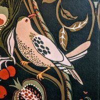 JB (@jonathandbos) 's Twitter Profile Photo