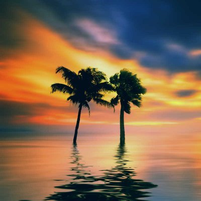 lln1883302's profile picture.