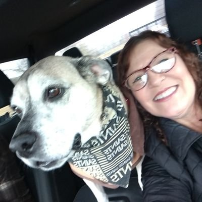 MLBerry439552's profile picture. God-Family-Country
💯         💯          💯