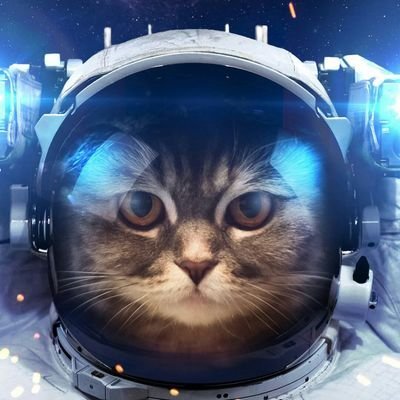 Astronomy lover sharing stellar facts, cosmic news & starry views. Letās explore the universe together!