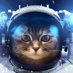 Cosmopilot (@space_lover1) Twitter profile photo Cosmopilot (@space_lover1) Twitter profile photo