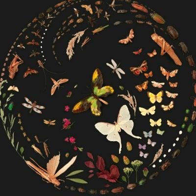 _paulajvn_'s profile picture. 