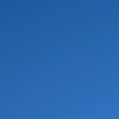 tjnxpjbenhjoda1's profile picture. 