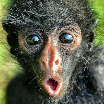 SynMateri's profile picture. Crypto enthusiast | Contributor