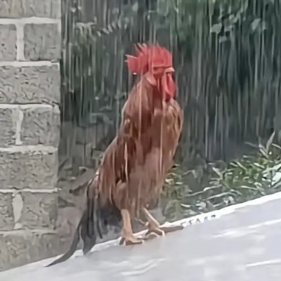 John117xyalp's profile picture. 