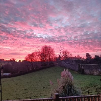 Bigprob4u's profile picture. 