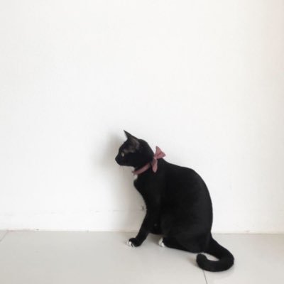 ( 으◇으 ) ( • . • :·)さんのプロフィール画像