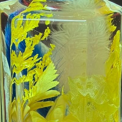 tokihanemaybe's profile picture. たぶん「ときはね」。社会人🚹 ゲームとか日常のつぶやきとか。 🌙🍚💟🍆