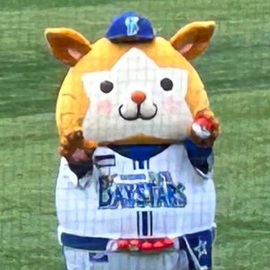 ゲーム、プロ野球、日帰り旅と観光【#きいろの旅日記】が大好きな社会人♂の雑多垢|baystars【#51 #22】|ポケポケ|ポケふた収集|フィットボクシング🥊