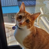 茶太郎 (@64hhfaijojwinbd) 's Twitter Profile