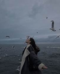 tate_senge26828's profile picture. 