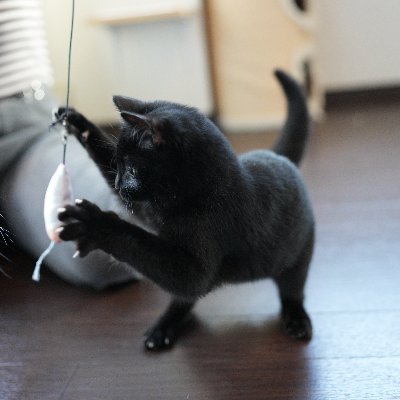 あまとう(甘刀)