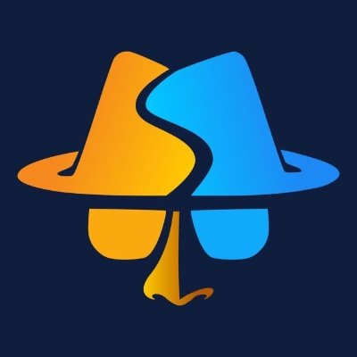 sniffnet's profile picture. Comfortably monitor your Internet traffic 🕵️‍♂️