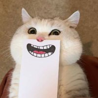ANBK (@btcanbk) 's Twitter Profile