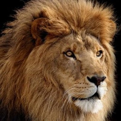 hadooparch's profile picture. 