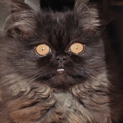 idfkdudefr's profile picture. the absolutely don't gives a damn guy who will hurt the fucks out of your feelings