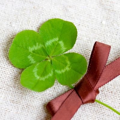 rosetta990528's profile picture. 日本人  |  男性です  |  フォローよろしくお願い致します  |  ご質問はマシュマロ、DMから  |  古民家・シェアハウス  |  生き物・自然  |  川遊び・泳ぐこと  |  ライフハック  |  プリキュア  |