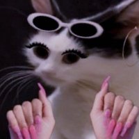 يوليو : (@c_oo____) 's Twitter Profile