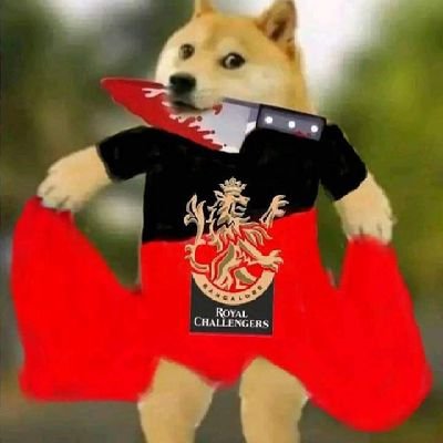 PrudviVysyaraj's profile picture. Cinema 📽️ 
Memes 😌
Bob antey bob ey 🔥
 RCB 🏆
Jagan 💙💚🤍