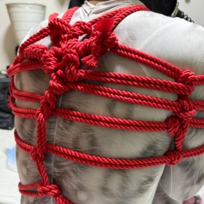R18 Furry shibari and bondage contents /I love bound beasts/Subjects please DM /rubber socks pappy zentai petsuit