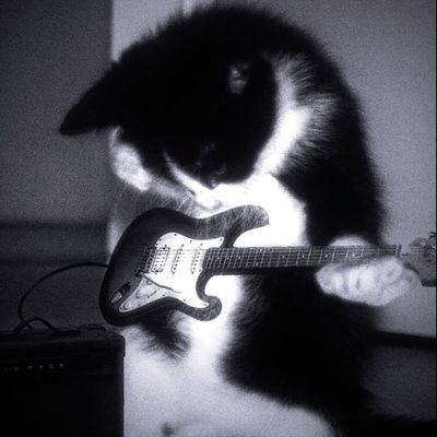 d3lusyonalAsh's profile picture. ִֶָ𓂃 ࣪˖ ִֶ✮⋆˙ ele/dele                                                                                                 
Loatwt e studytwt.   ִֶָ𓂃