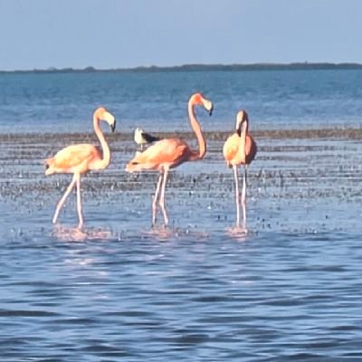 AntneeC22's profile picture. 