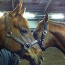 Cheryl Addison - @chezrac - Twitter